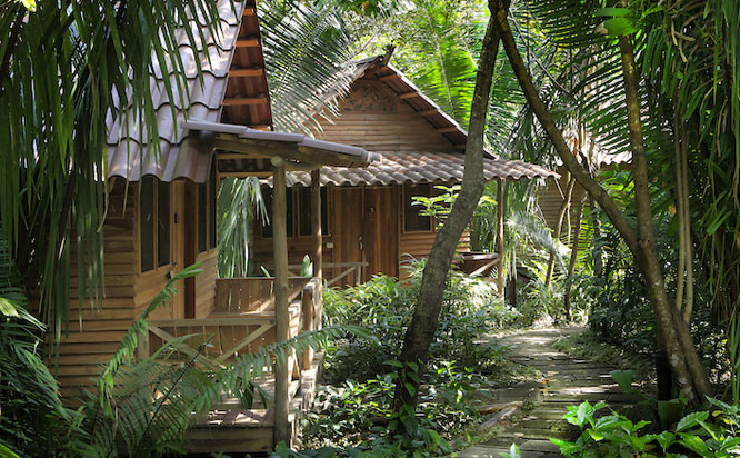 Yogini Charu Costa Rica Retreat Charu Rachlis